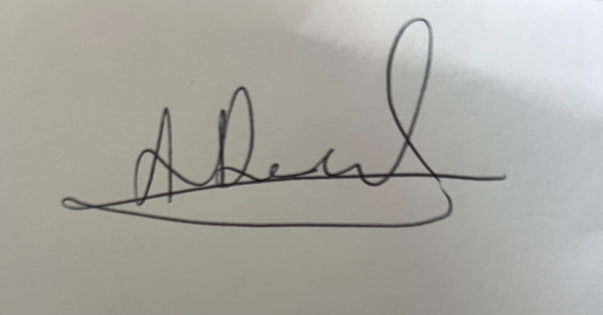 Handwritten cursive signature with looping letters and underline on a light gray background.